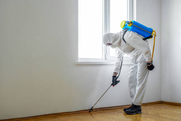Best Mosquito Control Services  in Shawnee, OK