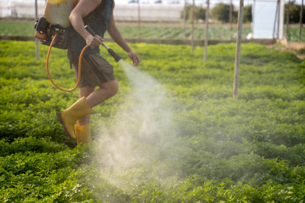Best Affordable Pest Control Services  in Shawnee, OK