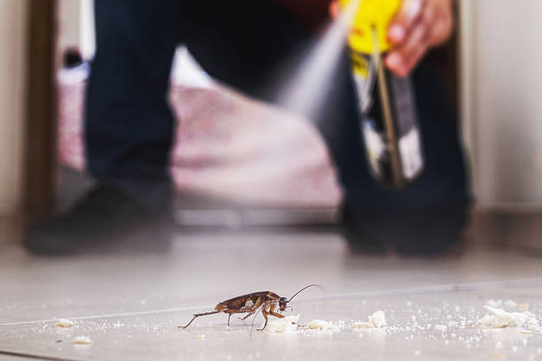 Best Termite Control Services  in Shawnee, OK