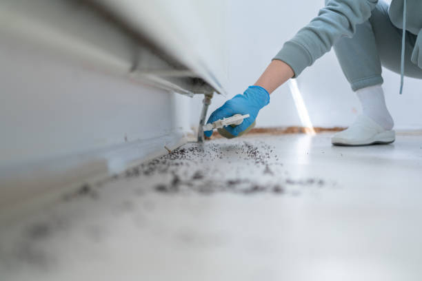 Best Pest Inspection Near Me  in Shawnee, OK